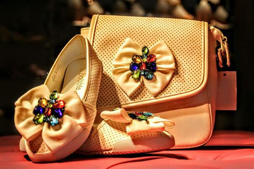 Handbag with luxury ballet shoes