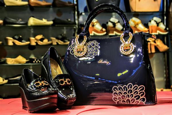 Handbag with a high heel rocky shoes